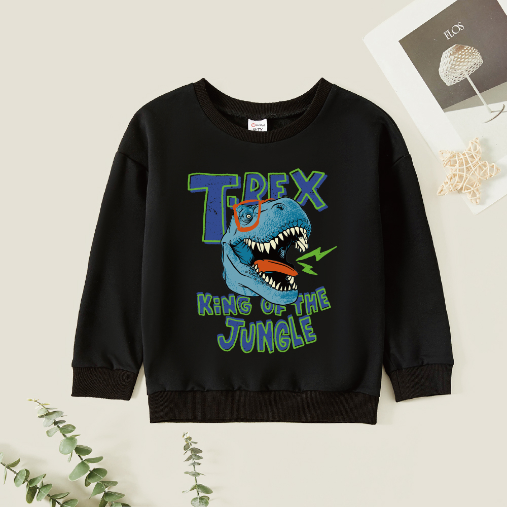 Kid Boy Graphic Dinosaur and Letter Print Long-sleeve Pullover
Kid Boy Graphic Dinosaur and Letter Print Long-sleeve Pullover
