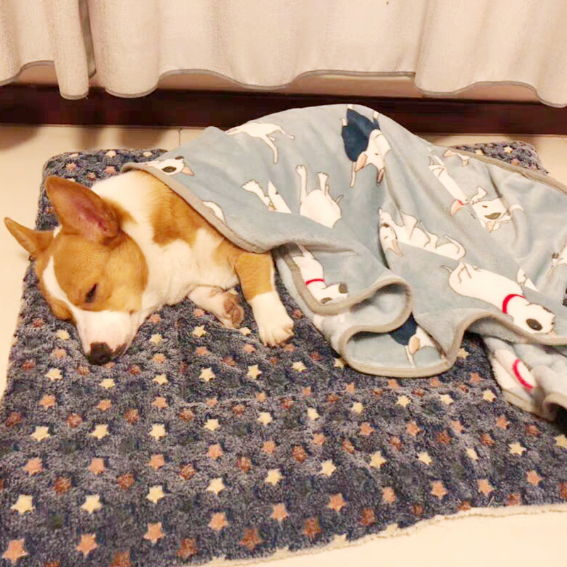 

Pet autumn and winter warm cushion blanket non-slip cushion