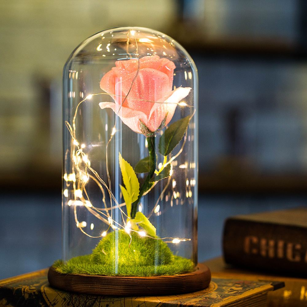 

Mini Mother's Day Gifts Home Decorations Glass Cover Rose LED Light Micro Landscape USB