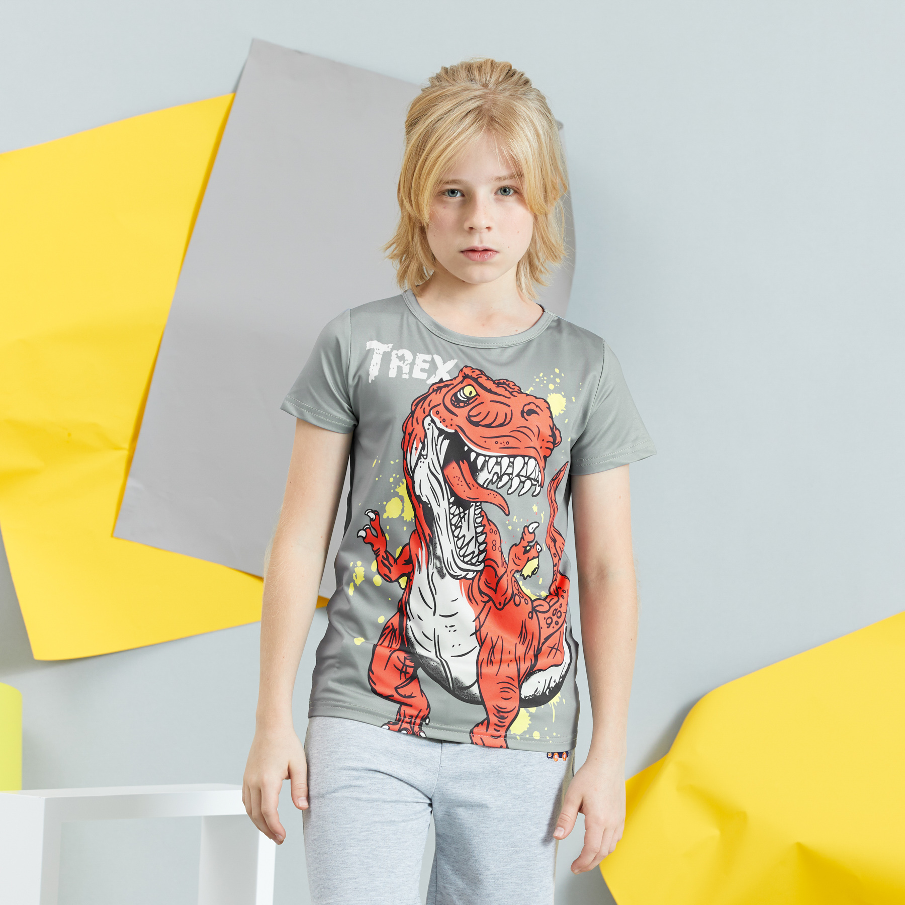 

Kids Boy Dinosaur Tee