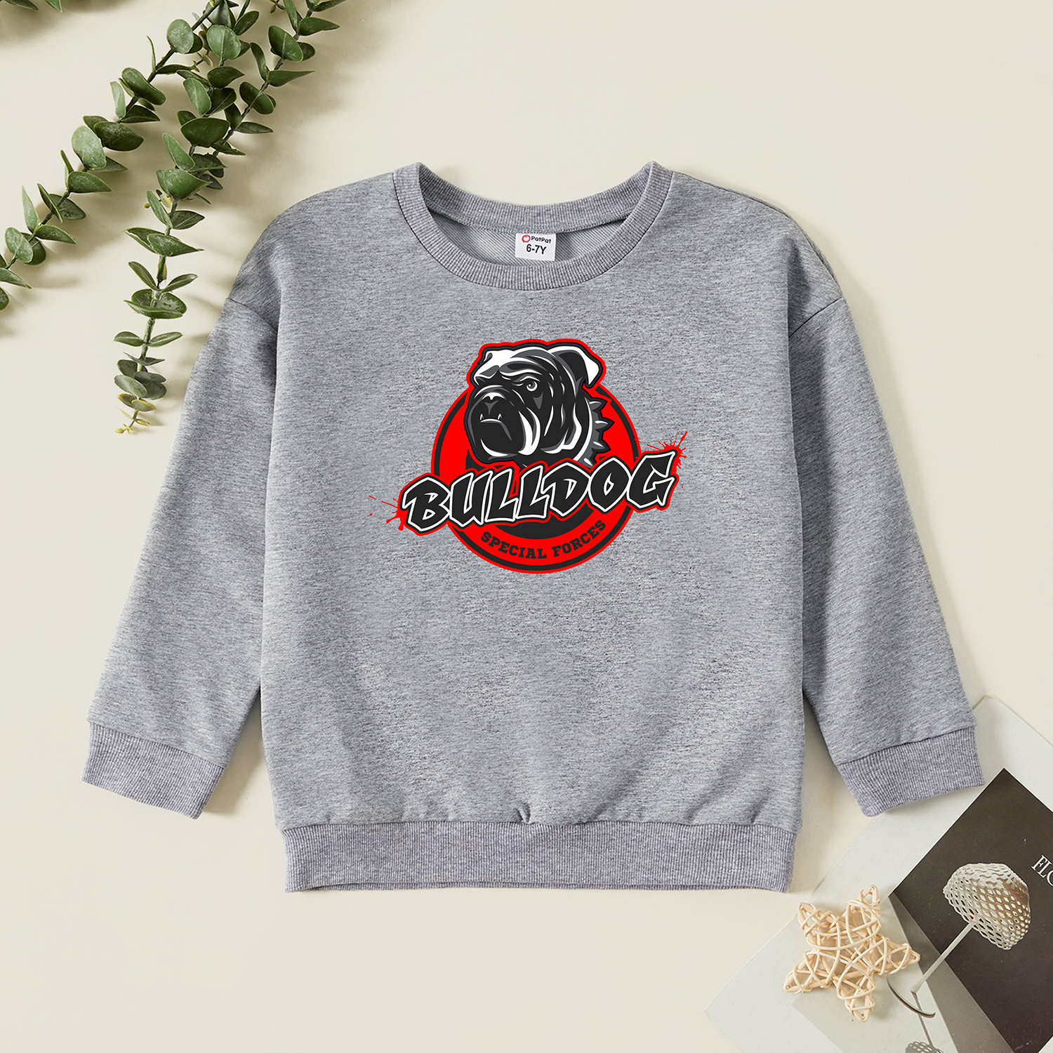 

Kids Graphic Light gray Long-sleeve Pullover