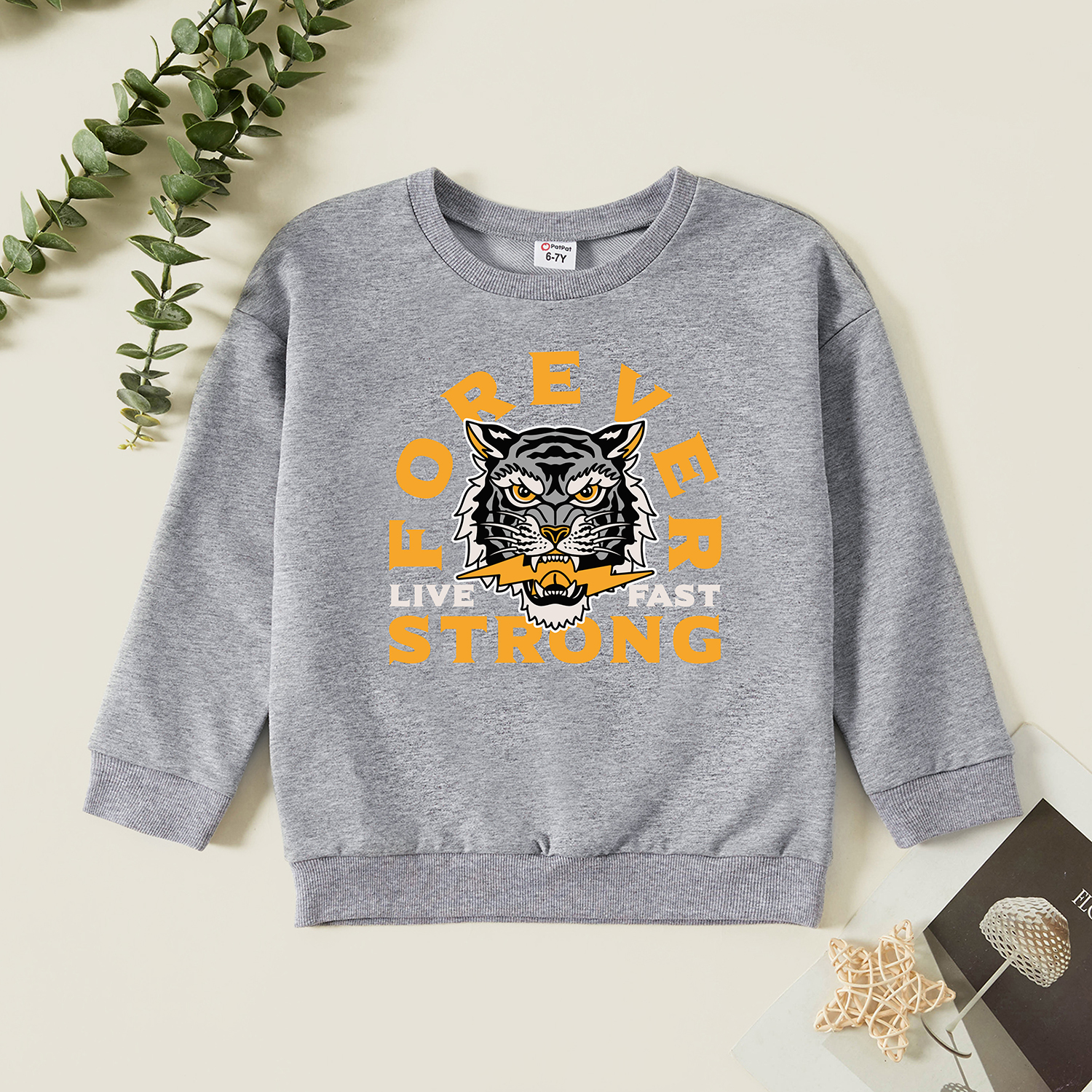 

Kids Graphic Light gray Long-sleeve Pullover