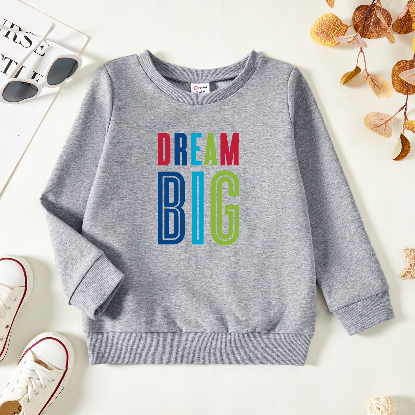 

Toddler Graphic Light gray Long-sleeve Pullover