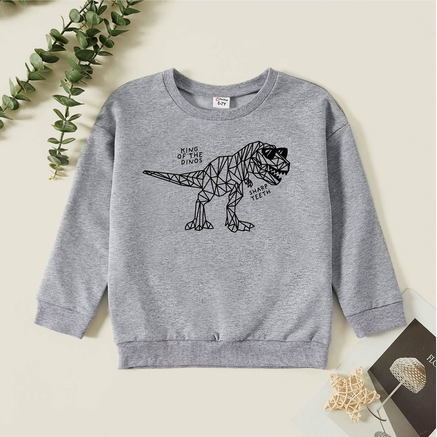 

Kid Boy Graphic Dinosaur and Letter Print Long-sleeve Pullover