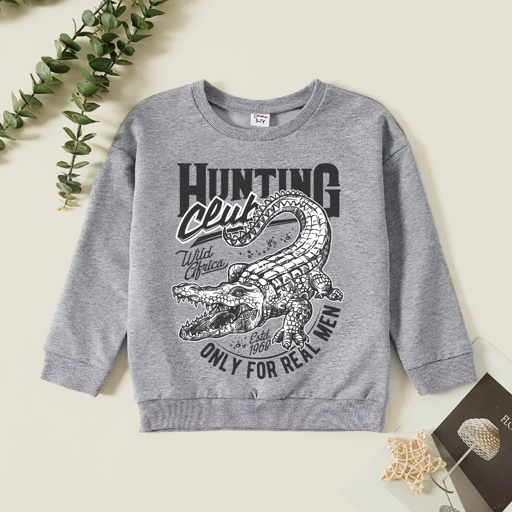 

Kids Graphic Light gray Long-sleeve Pullover