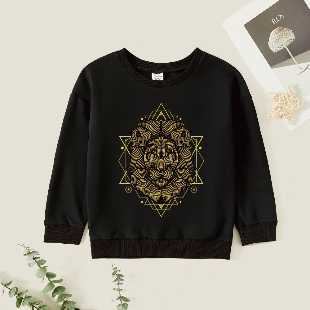 

Kid Boy Graphic Lion Print Long-sleeve Pullover