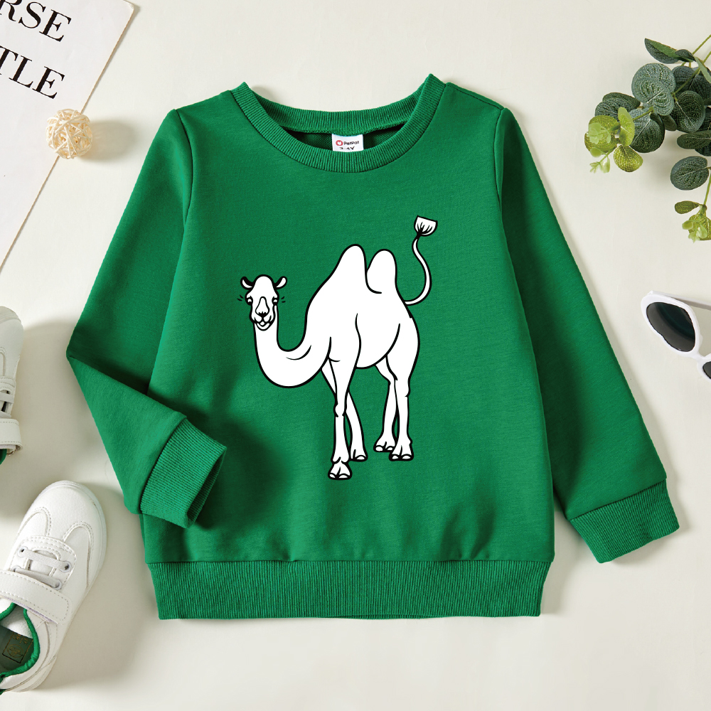 

Toddler Graphic Green Long-sleeve Pullover