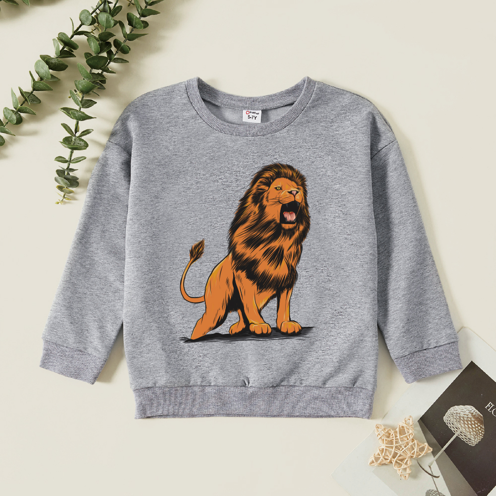

Kid Boy Graphic Lion Print Long-sleeve Pullover