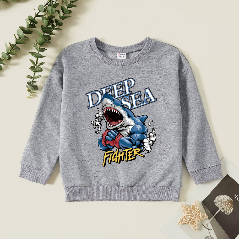 

Kids Graphic Light gray Long-sleeve Pullover