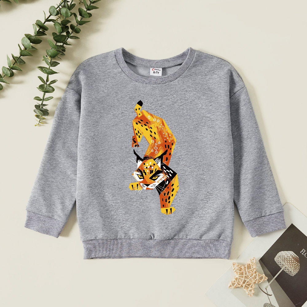 

Kids Graphic Light gray Long-sleeve Pullover