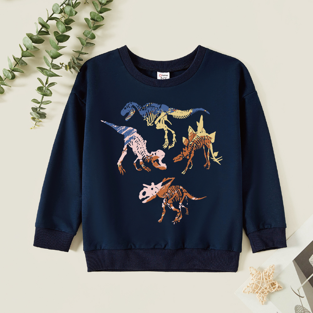 

Kid Boy Graphic Dinosaur Print Long-sleeve Pullover