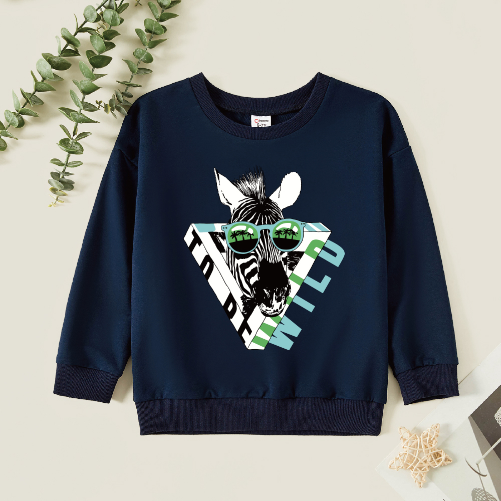 

Kids Boy Graphic Zebra & Letter Print Long-sleeve Pullover