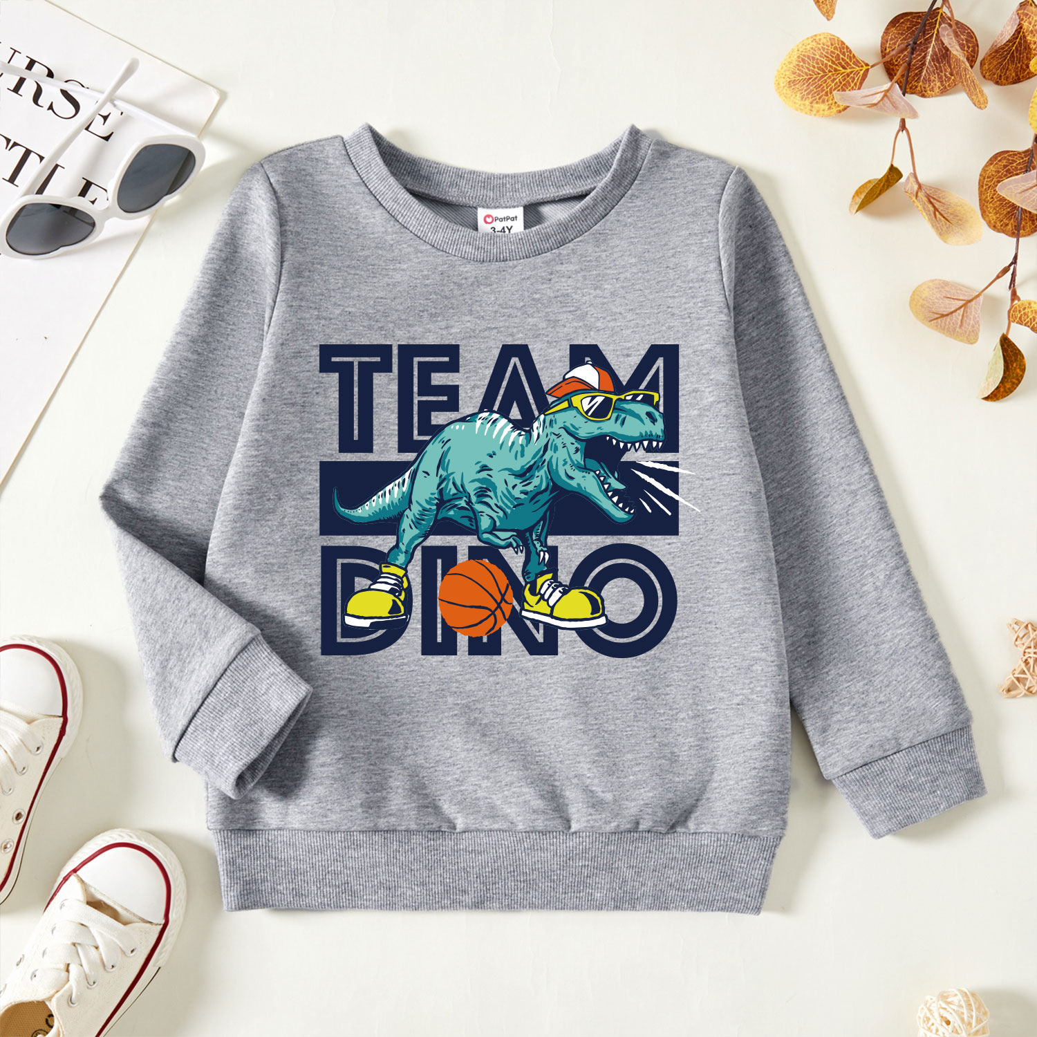 

Toddler Boy Graphic Dinosaur and Letter Print Long-sleeve Pullover