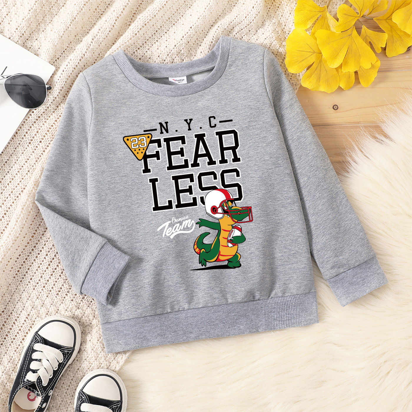 

Toddler Boy Graphic Dinosaur Print Long-sleeve Pullover