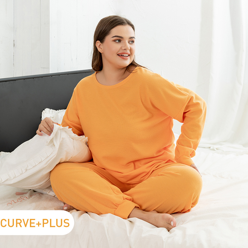 

2-piece Women Plus Size Basics Solid Pullover and Pants Set