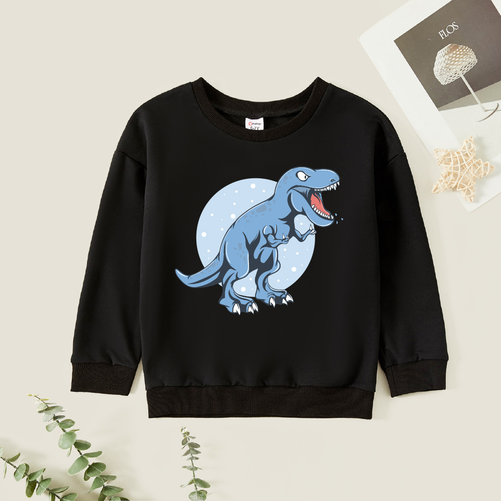 

Kids Boy Graphic Dinosaur Print Long-sleeve Pullover