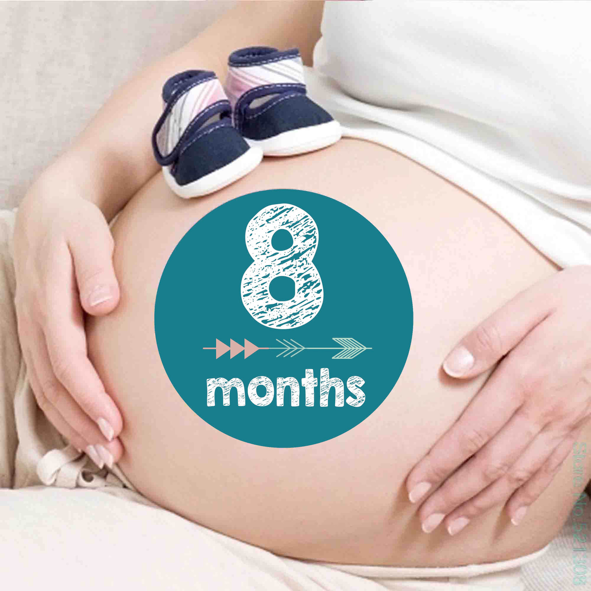 12-pack Resuable Baby Monthly Milestone Stickers