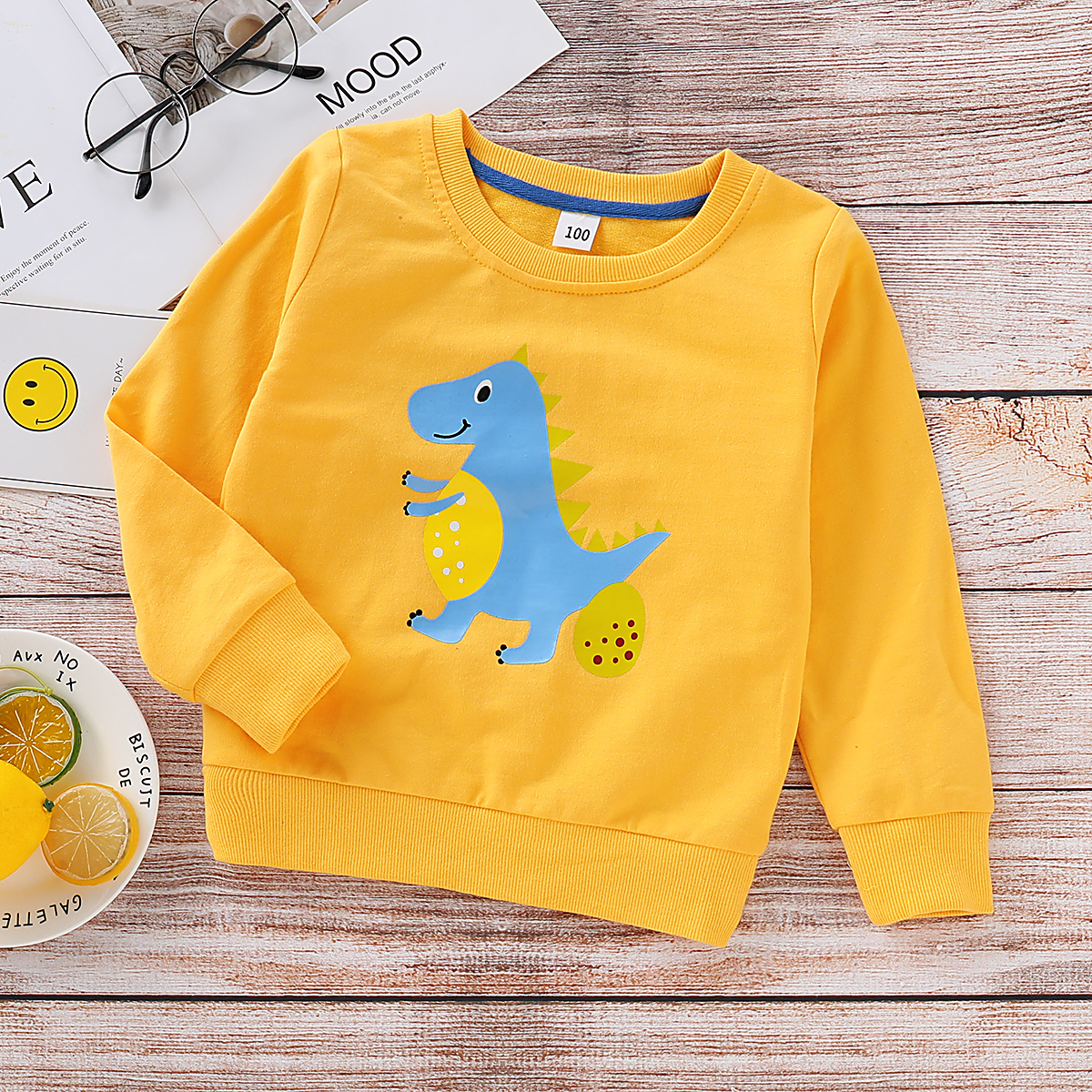 

Baby / Toddler Boy Dino Pattern Pullover