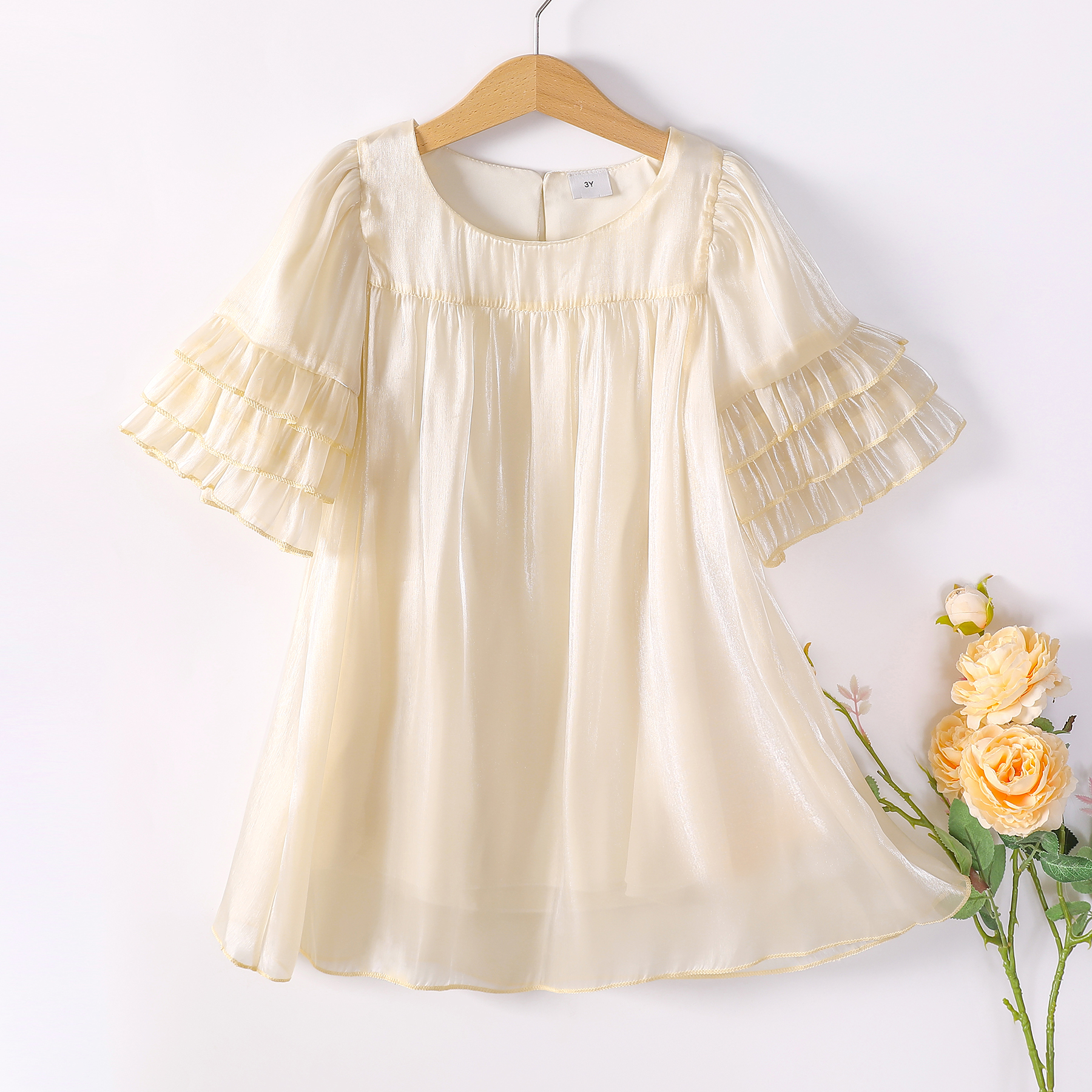 

Toddler Girl Mesh Princess Party Dress