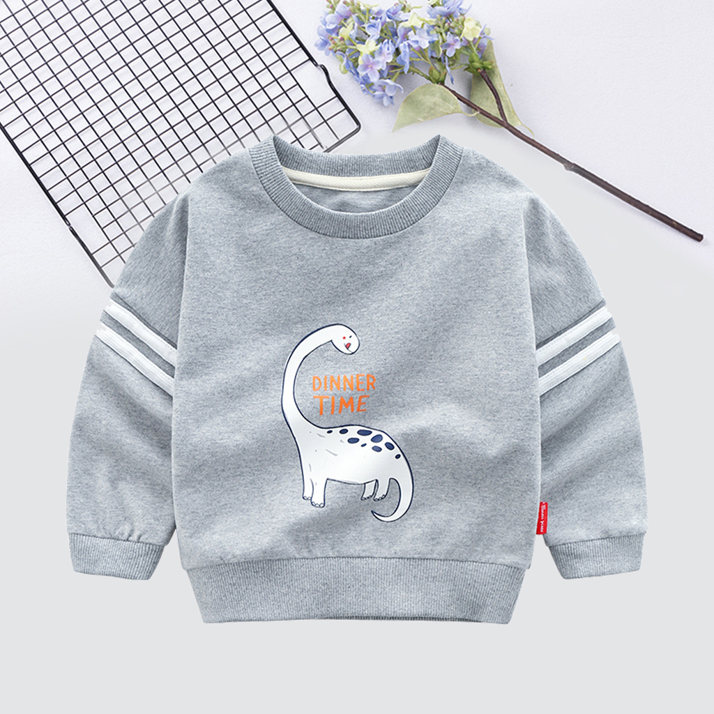 

Baby/Toddler Boy's Cartoon Dinosaur Print Pullover