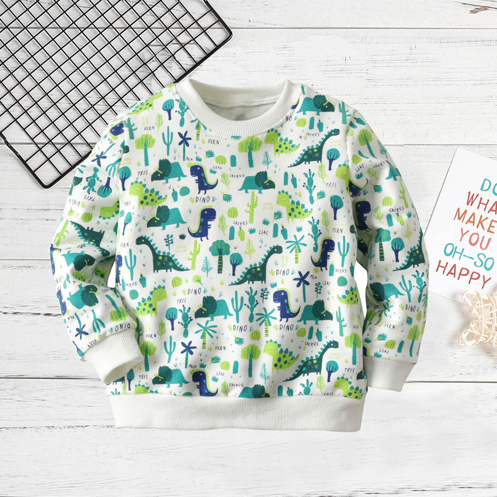 

Baby/Toddler Boy's Dinosaur Plant Print Pullover
