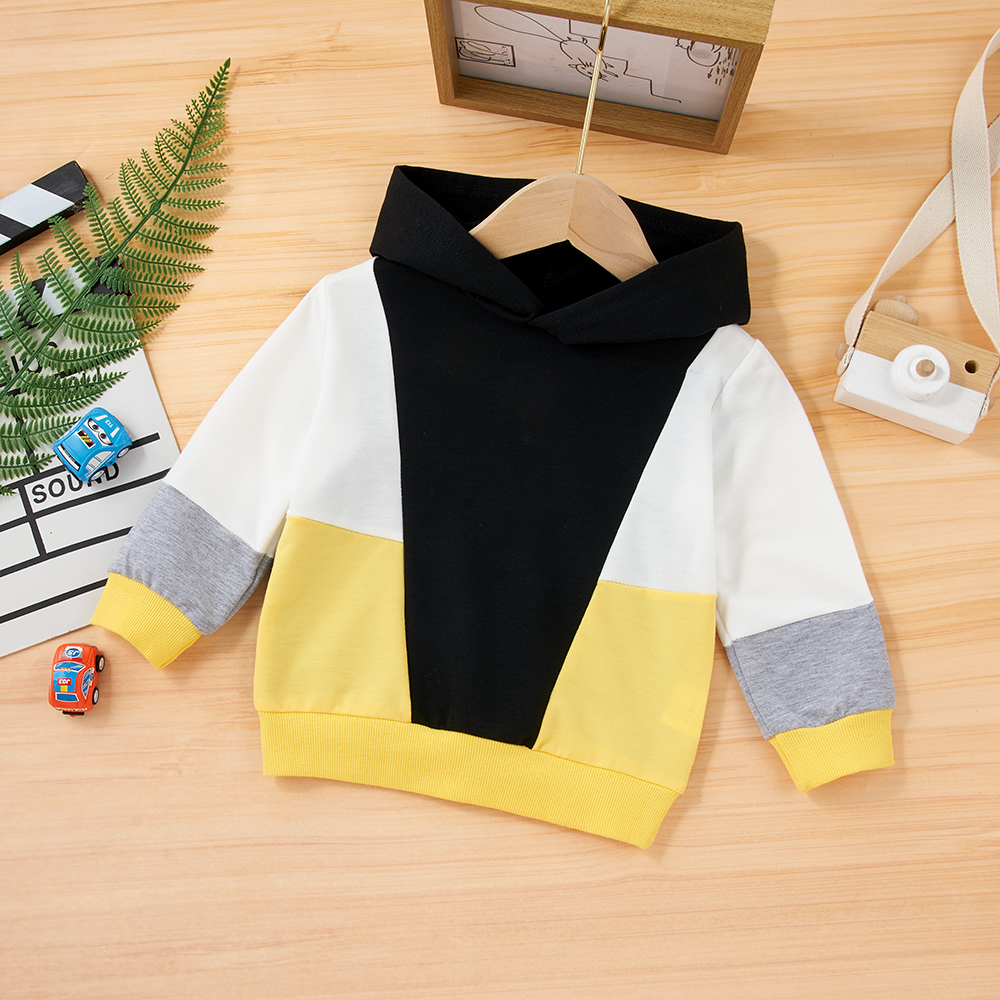 

Toddler Boy Colorblock Hoodies Sweatshirt