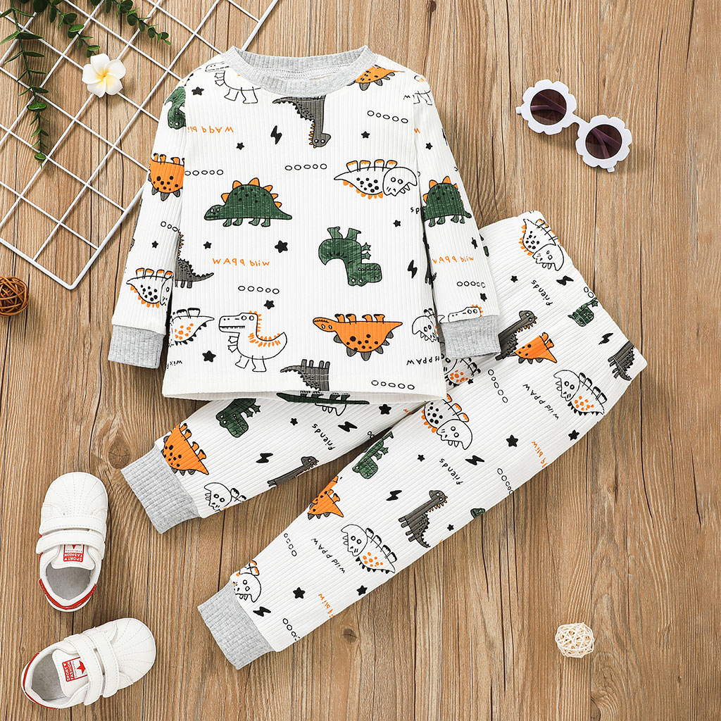 

2-piece Toddler Boy Dinosaur Letter Print Pullover and Pants Set