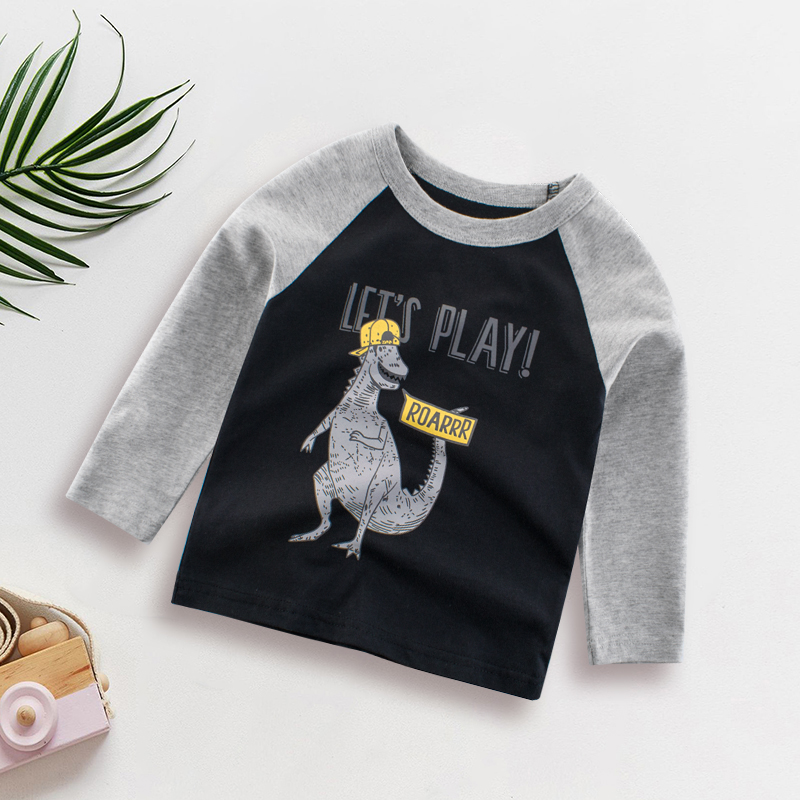 

Dinosaur And Letter Print Color Contrast Long-sleeve Tee