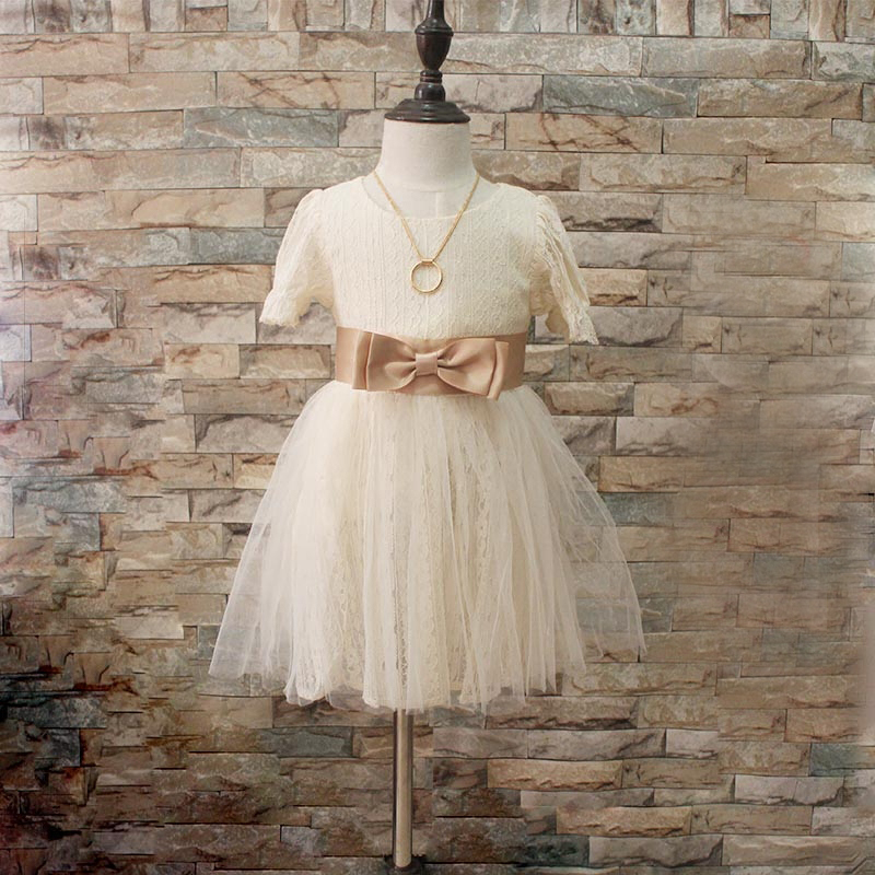 

Pretty Lace Decor Short-sleeve Tulle Princess Dress for Toddler Girl and Girl