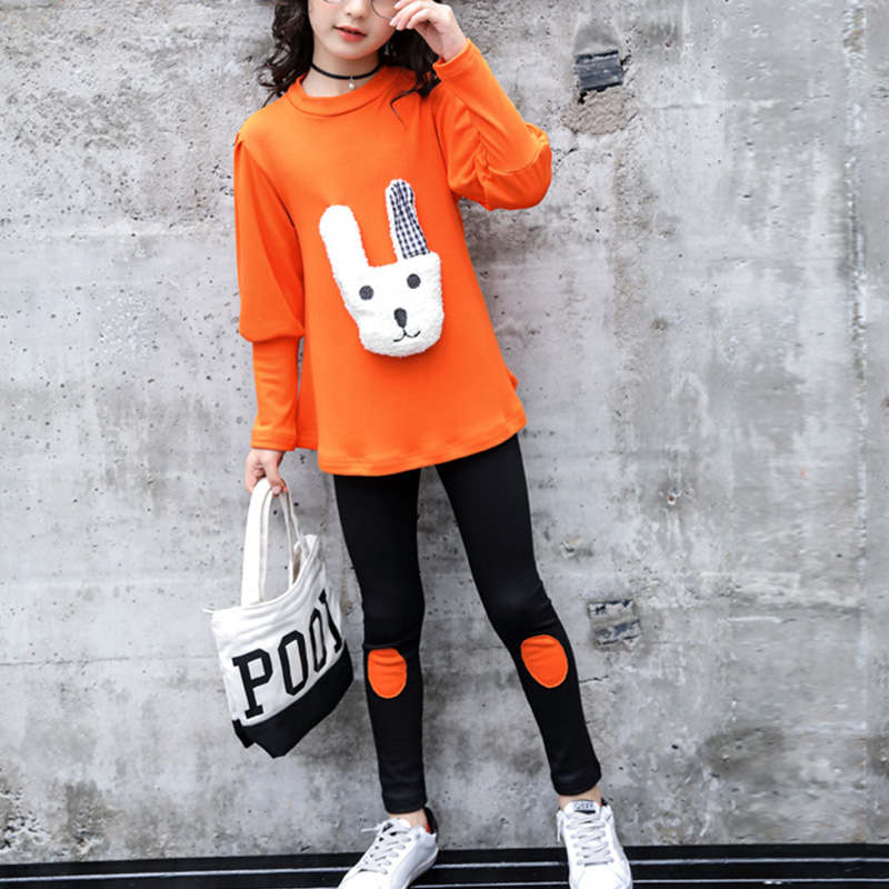 

Fashionable Rabbit Long-sleeve Top And Pants Set