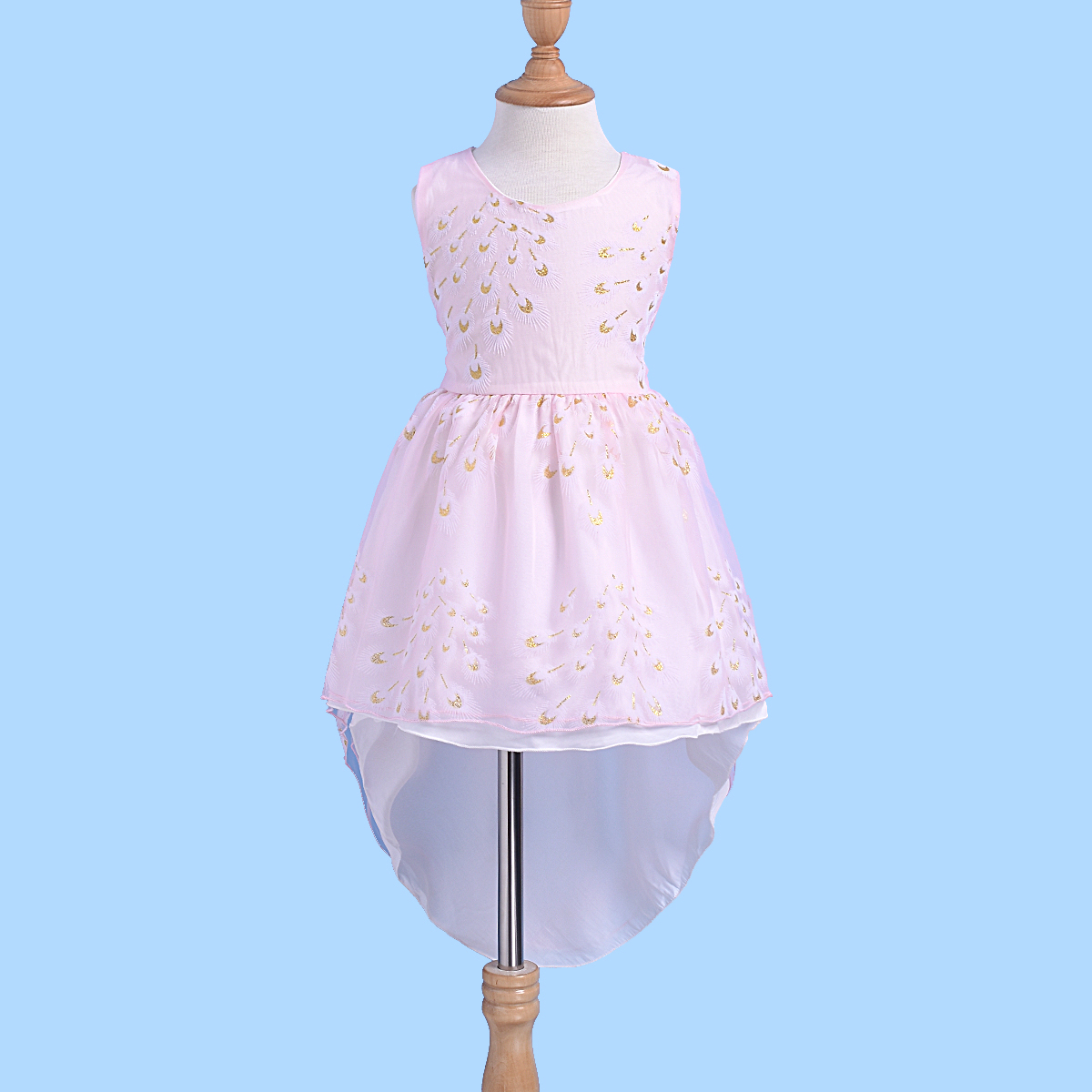 

Beautiful Embroidered Sleeveless Party Dress