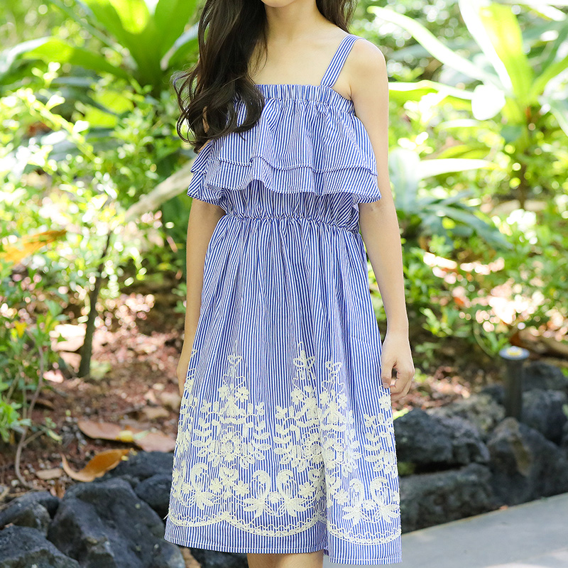 

Beautiful Striped Embroidered Ruffled Dress