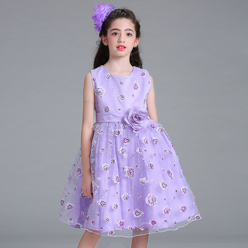

Kid Girl 3D Rose Bowknot Design Floral Print Sleeveless Princess Costume Party Mesh Dress