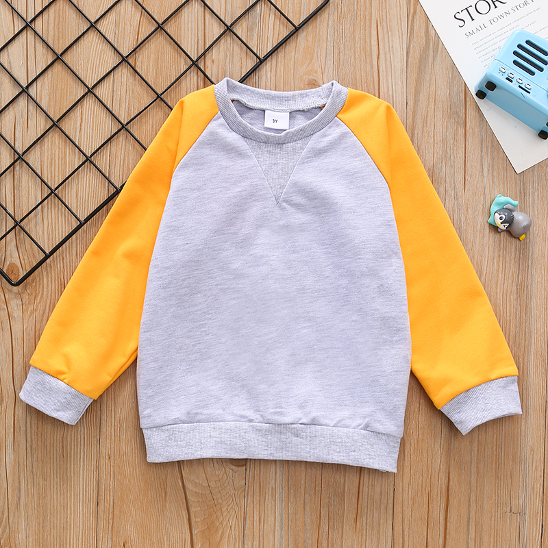 

Toddler Boy Colorblock Casual Pullover Sweatshirt