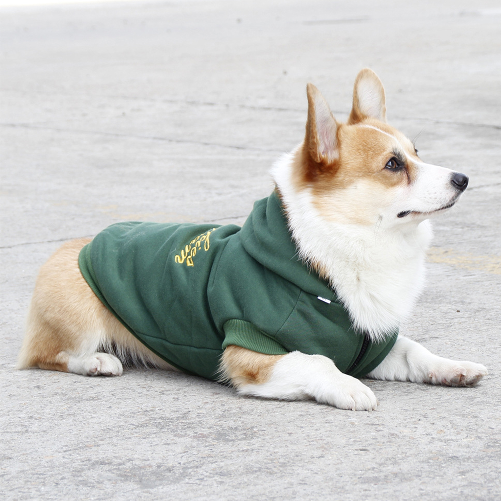 

Embroidered Pet Hoodie