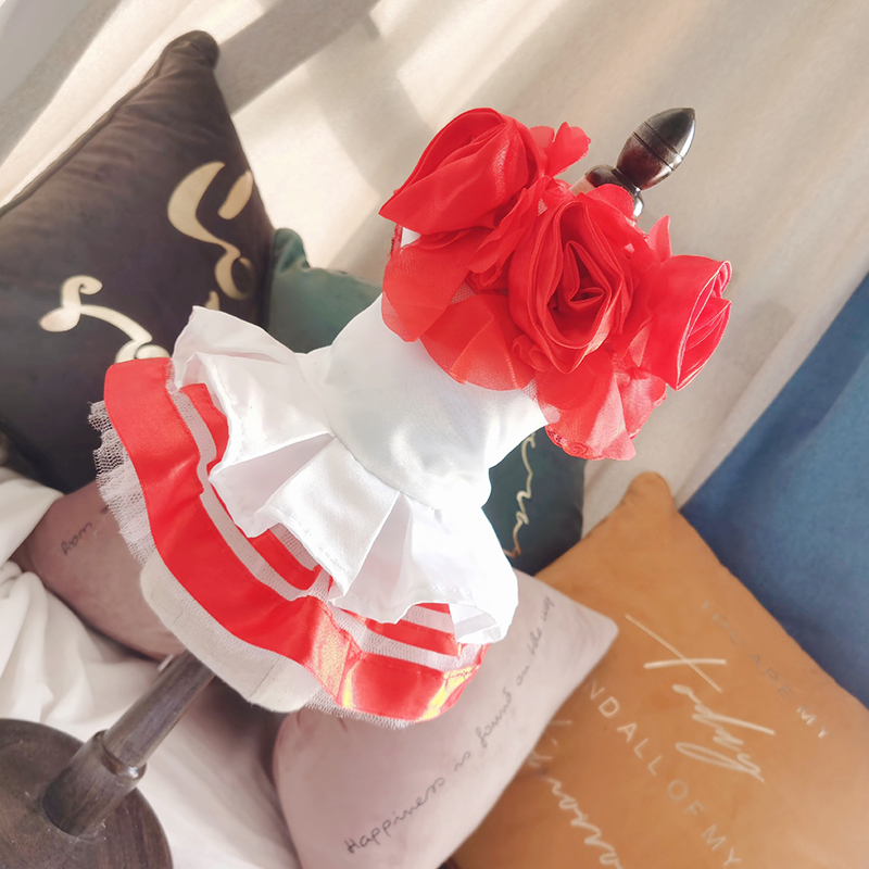 

Pet cake skirt dress skirt