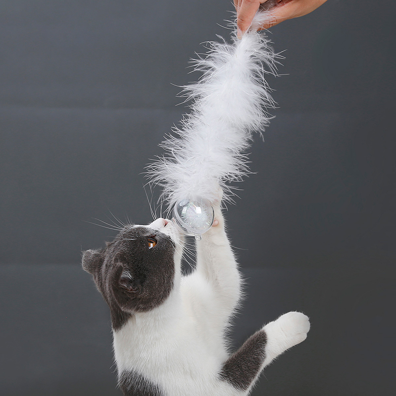 

Christmas Crystal Ball Cat Toy