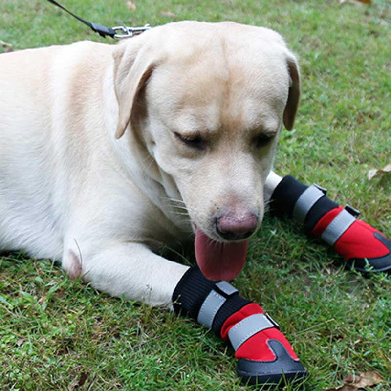 

Pet Long Shoes Wearable Boots