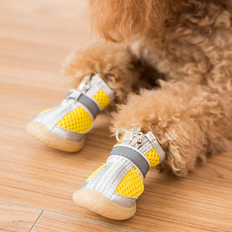 

Casual Mesh Shoes for Cat Dog