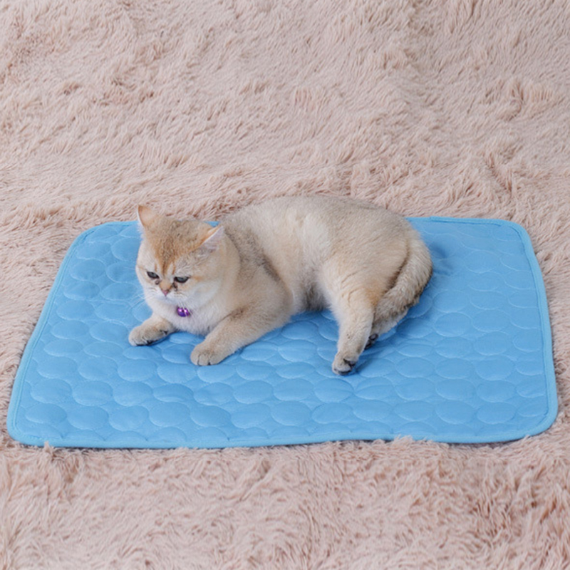 

Pet thin ice pad home car sofa cushion cold feeling ice silk cooling