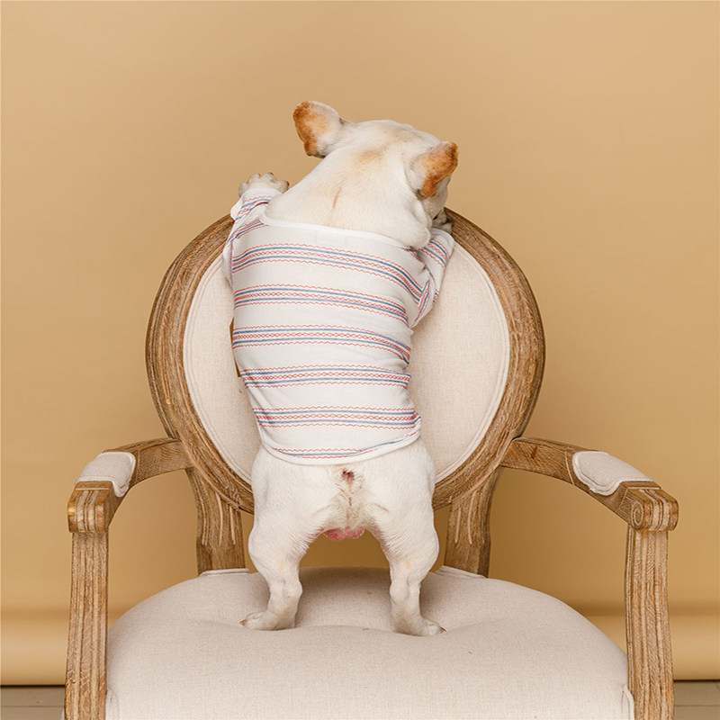 

Dog T-shirt cotton embroidery casual striped two-leg