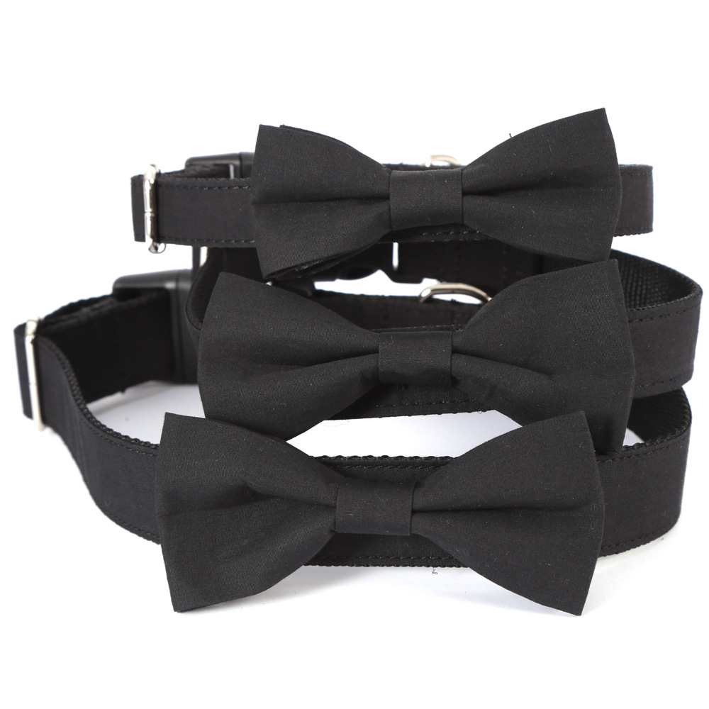

Black Western-Style Senior Pet Collar