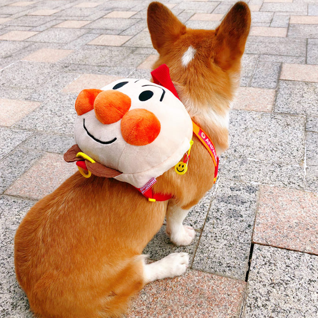 

Funny pet bag