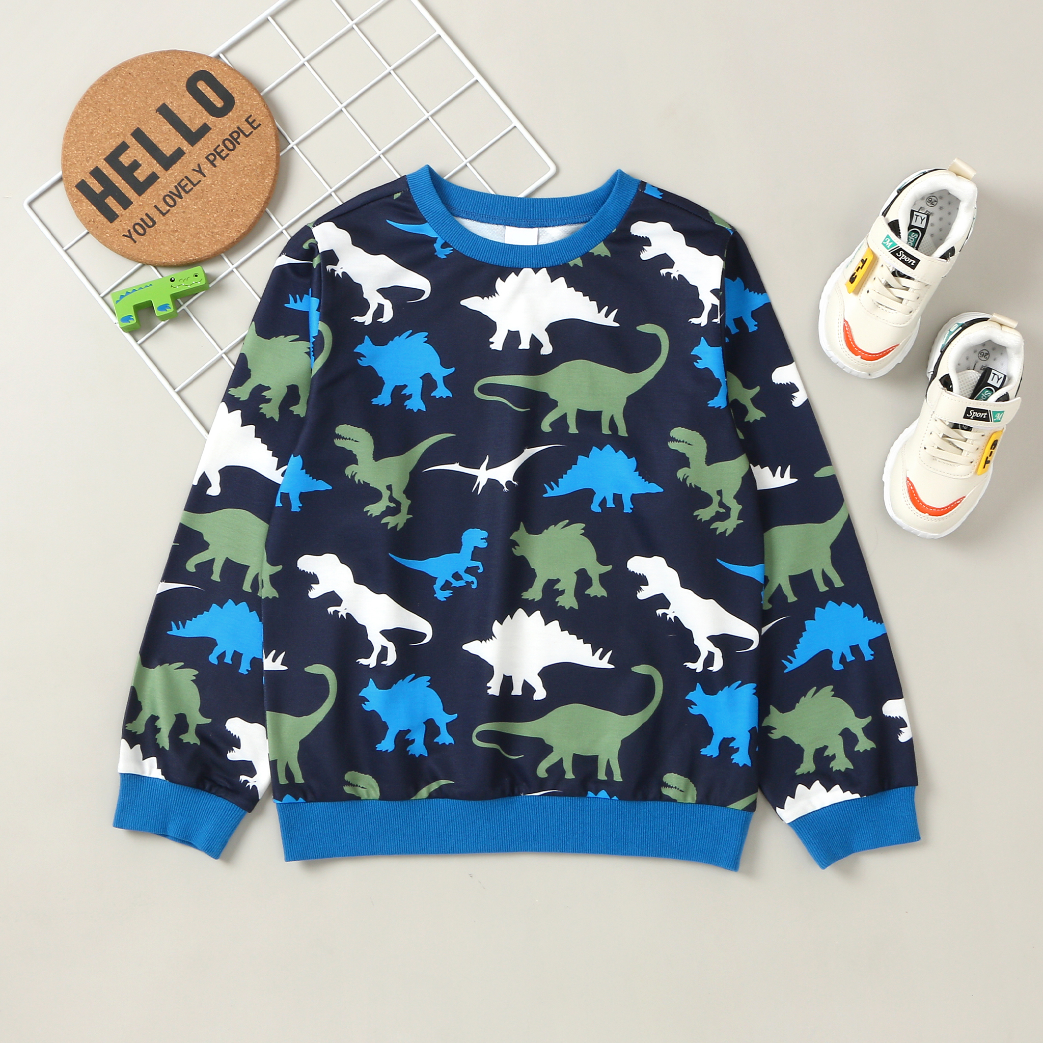 

Kid Boy Dinosaur Sweatshirt