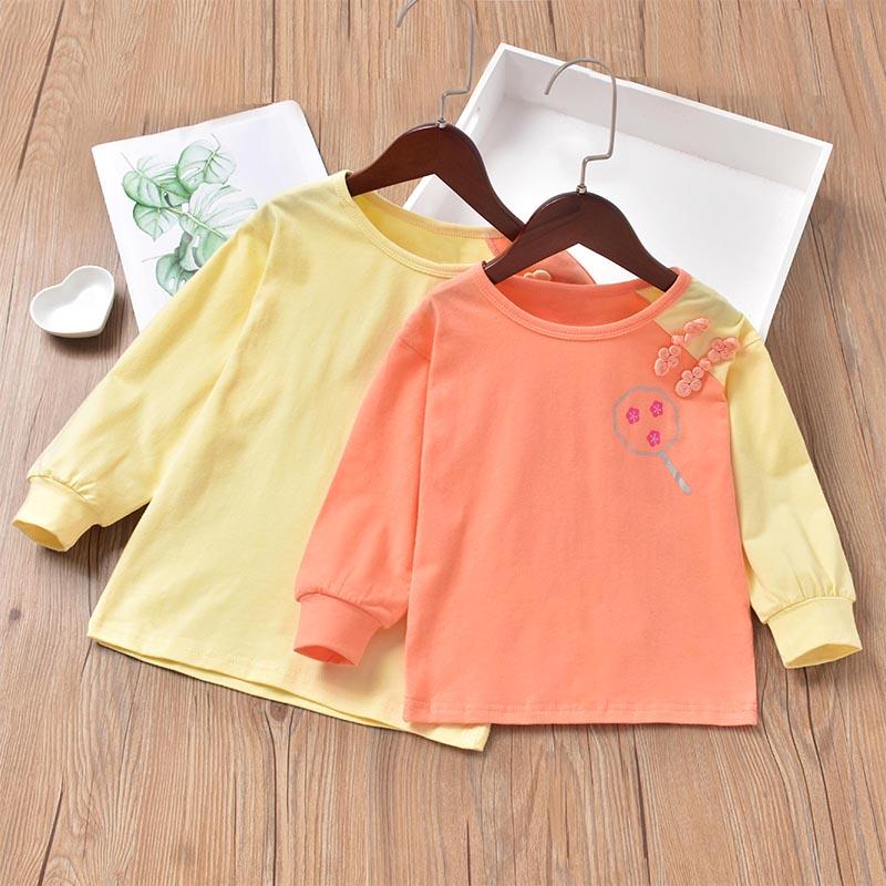 

Toddler Girl Floral Embroidered Colorblock Long-sleeve Tee