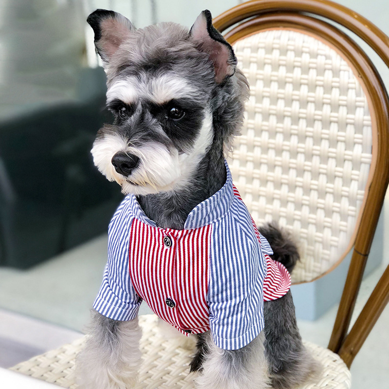 

Pet Striped Shirt