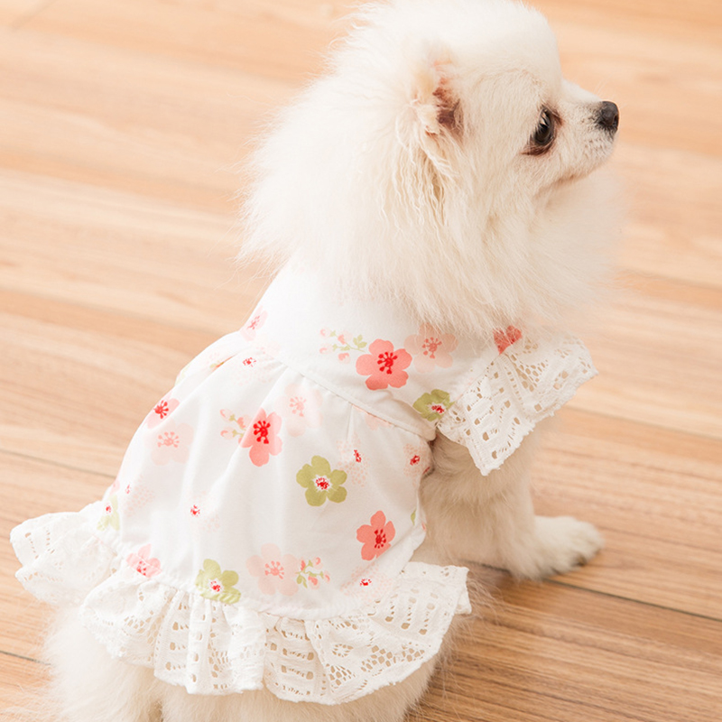 

Summer New Lace Skirt