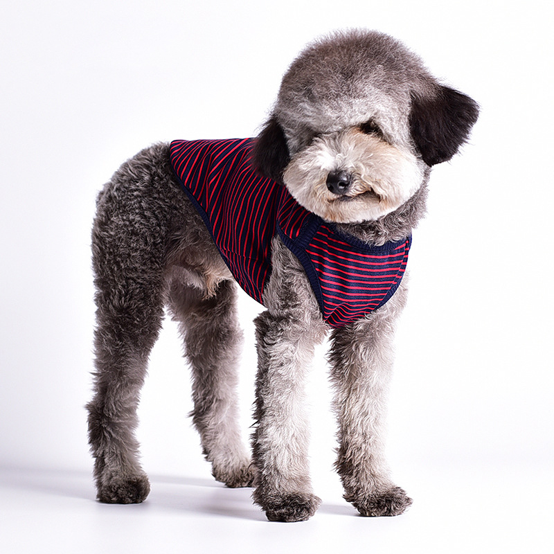 

Pet Cotton Short Sleeve