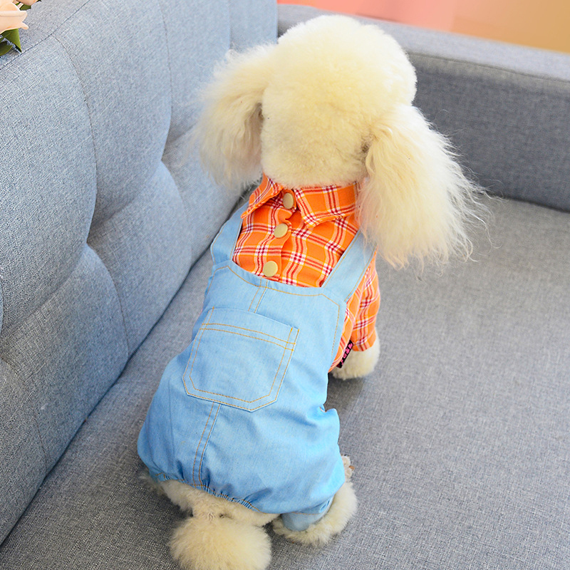 

Summer Thin Pet Four-Leg Suit