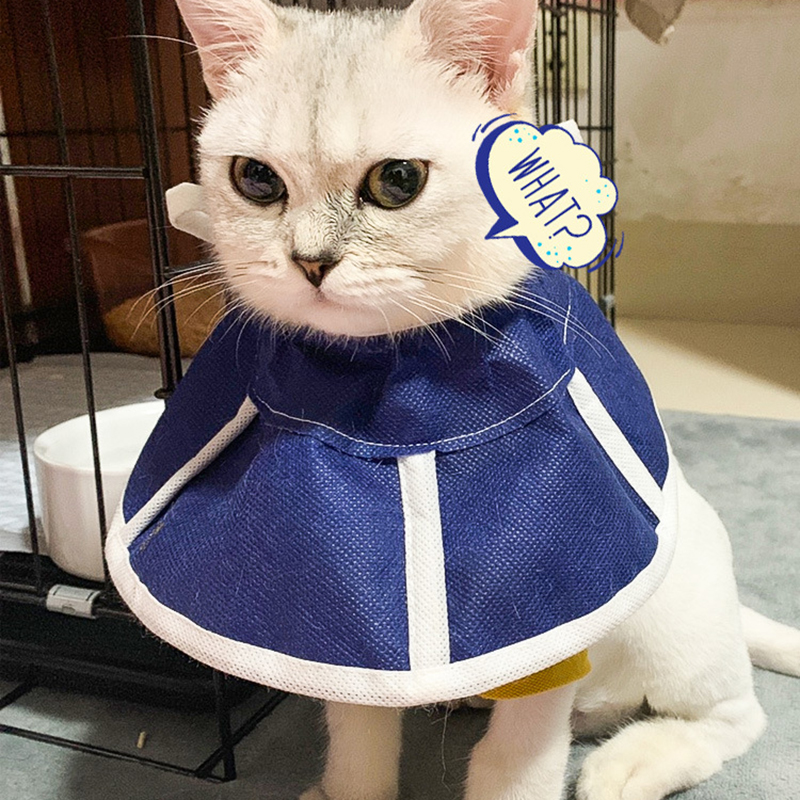 

Elizabeth's Collar for Cat and Dog